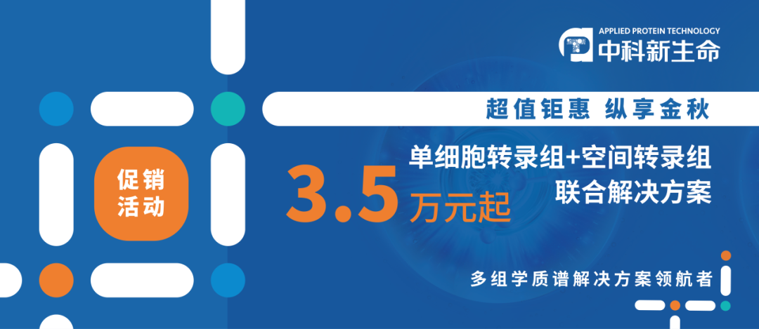 单转空转双剑合璧，最强提分神器