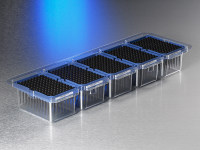 Axygen® 96孔吸头，50µL，透明，带滤芯，无菌，悬挂式吸头盒 (5包)