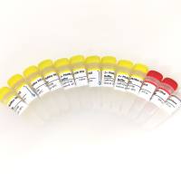 英赞高保真DNA聚合酶:PfuMax HiFi DNA Polymerase(P216)