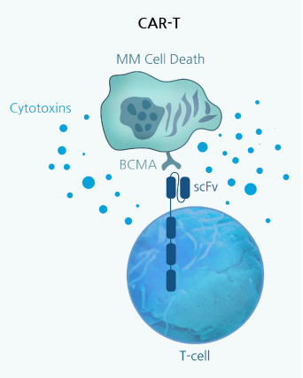 CAR-T 细胞的功能验证 -BPS Bioscience