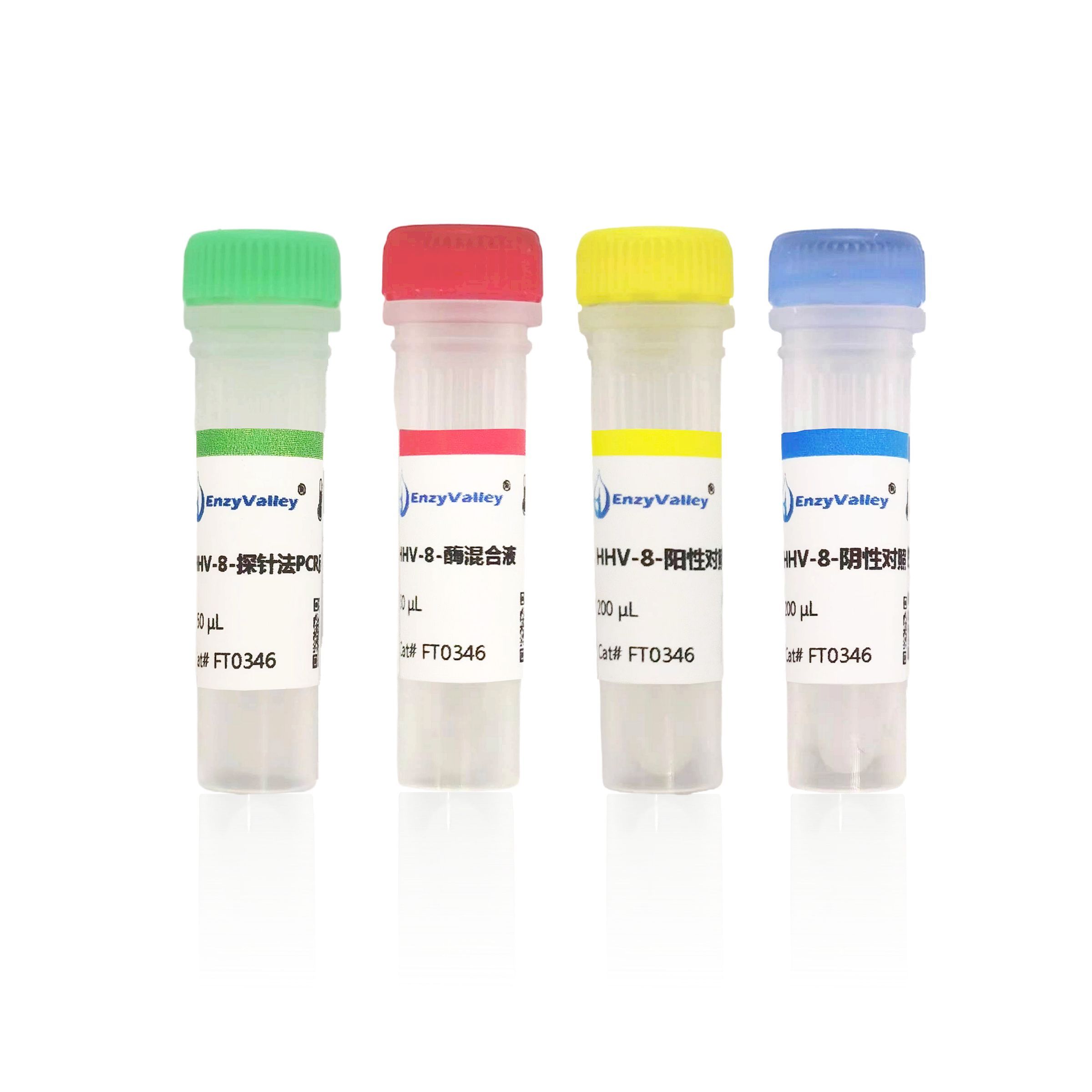 人疱疹病毒8型探针法荧光定量PCR试剂盒（FT0346）