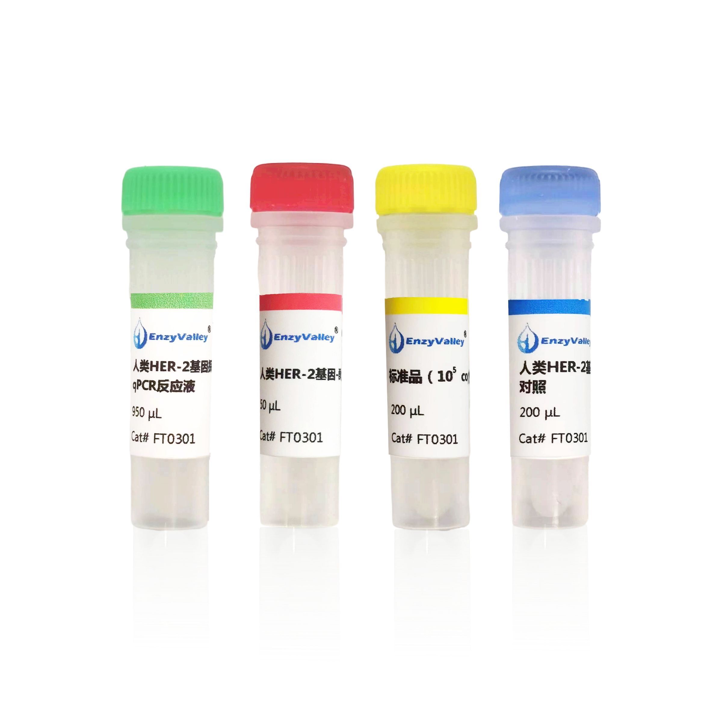 人类HER-2基因探针法qPCR检测试剂盒