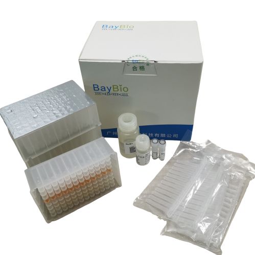 Baybio 磁珠法核酸提取试剂盒（15 款可选，试用专链）