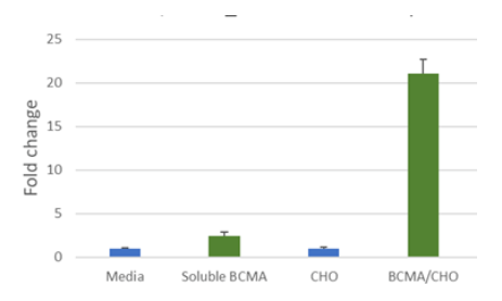 CAR-T 细胞的功能验证 -BPS Bioscience
