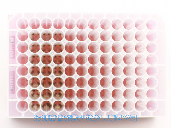 产品细节图片24