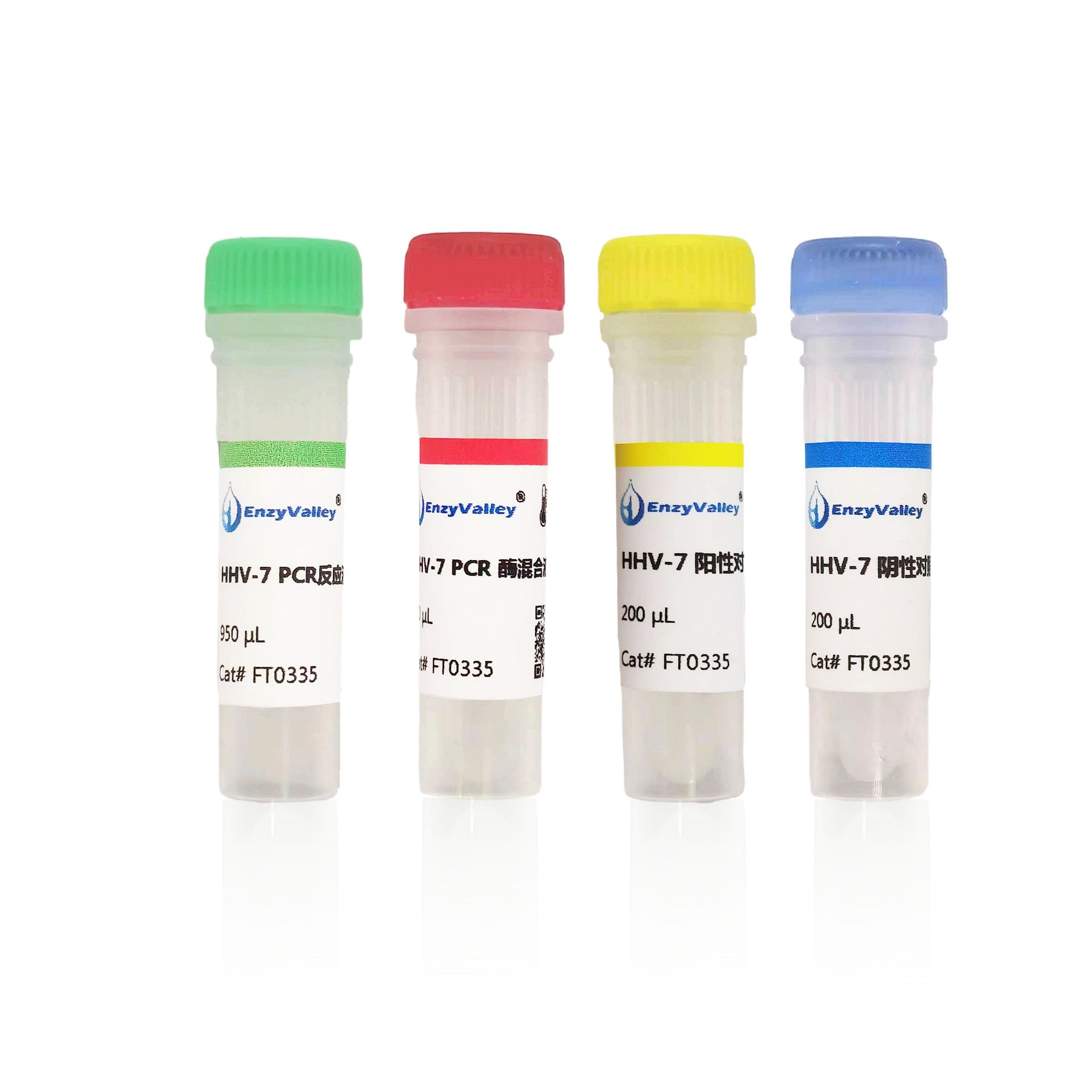 人疱疹病毒7型探针法荧光定量PCR试剂盒（FT0335）