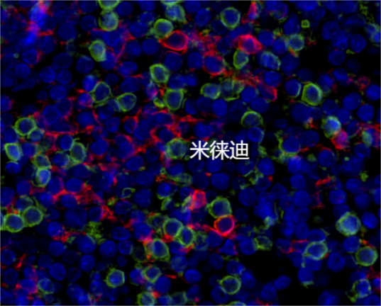 产品细节图片2