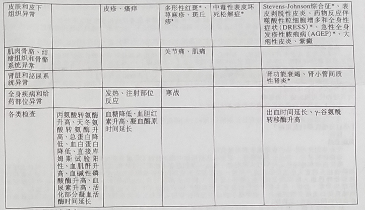 图片预览