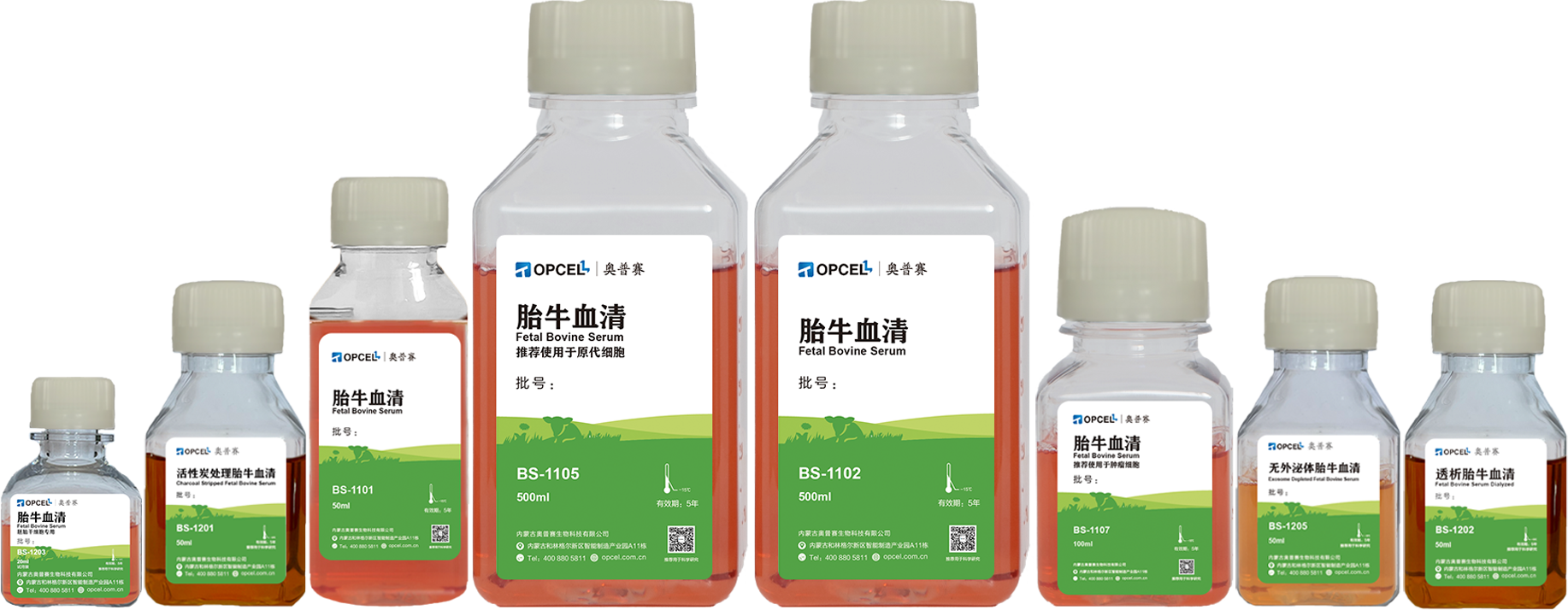 胎牛血清质量影响因素有哪些？