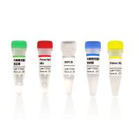 牛病毒性腹泻病毒RT-PCR试剂盒