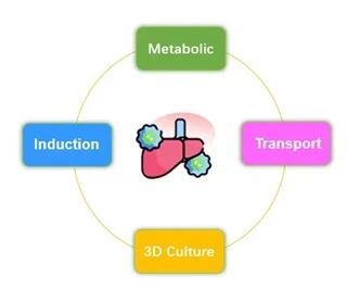 IPHASE/汇智和源猫原代肝细胞及肝微粒体研发成功