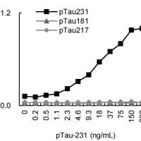 Anti-Tau phospho T231