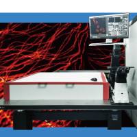 多模态超分辨显微成像系统