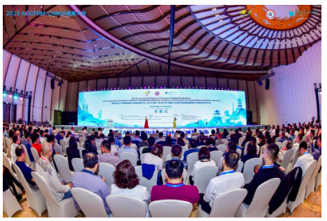 智慧交融创新并进 国内外专家共话康复医学发展