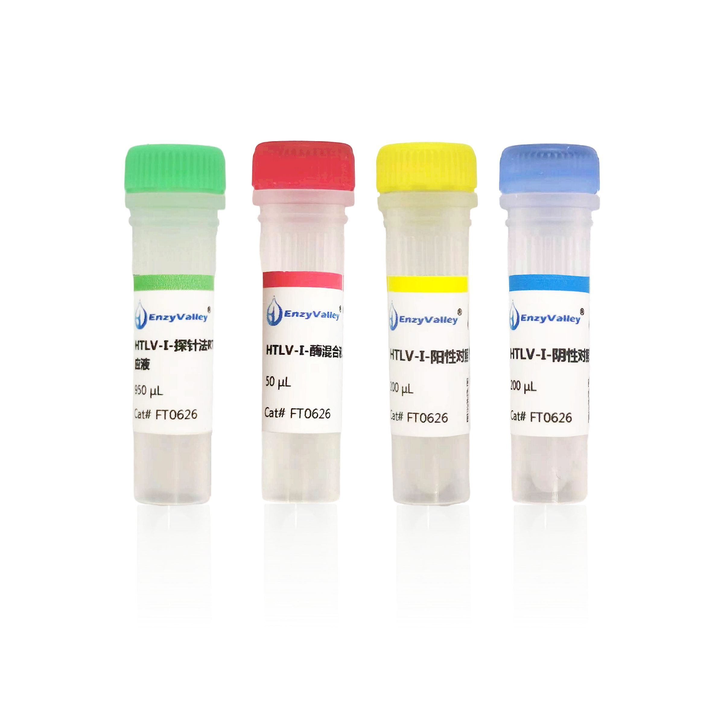 人类嗜T淋巴细胞病毒Ⅰ型探针法荧光定量RT-PCR试剂盒（FT0626）