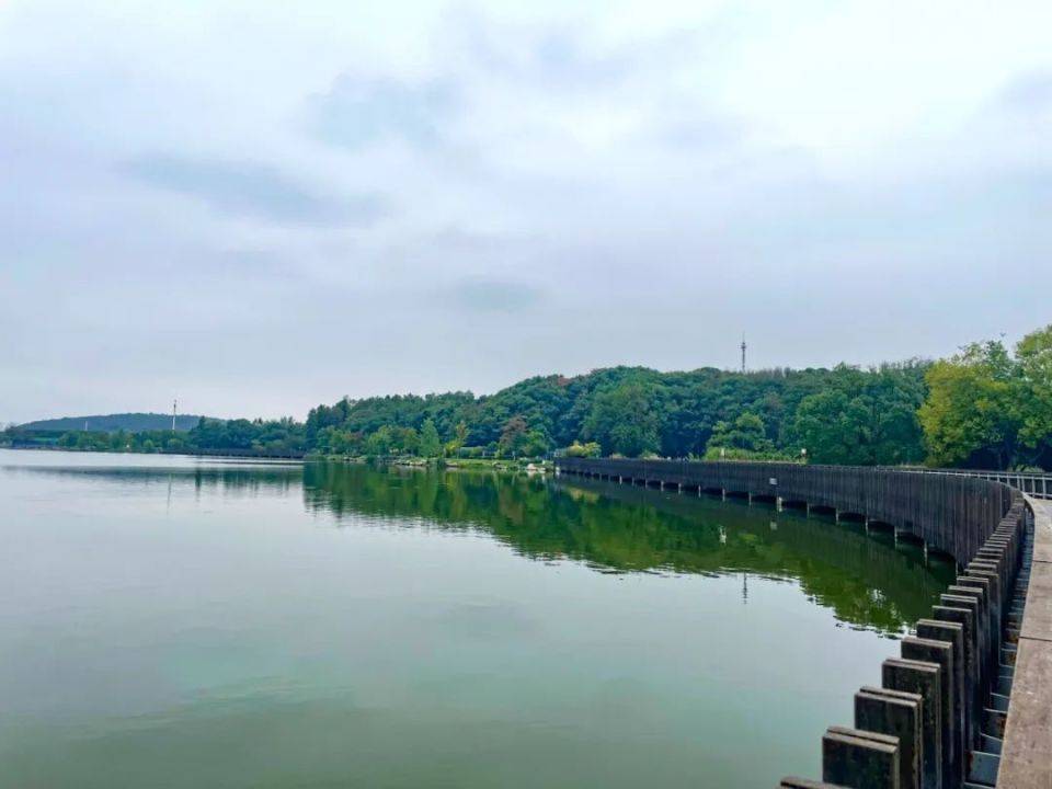 【世界视觉日】呵护眼部健康，珍惜光明视界