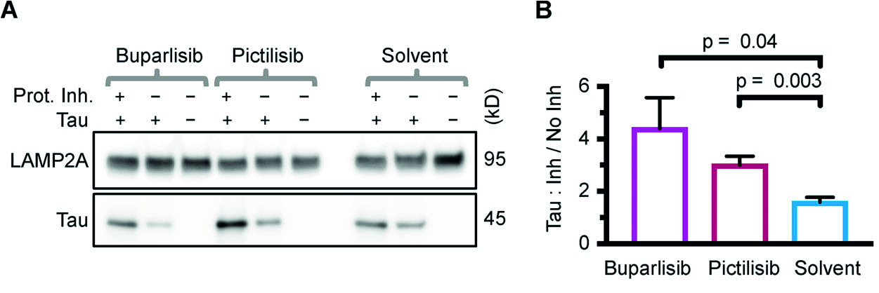 解锁阿尔茨海默病（AD）靶点密码，开启靶向治疗新篇章