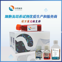 人IGF-2酶联免疫试剂盒