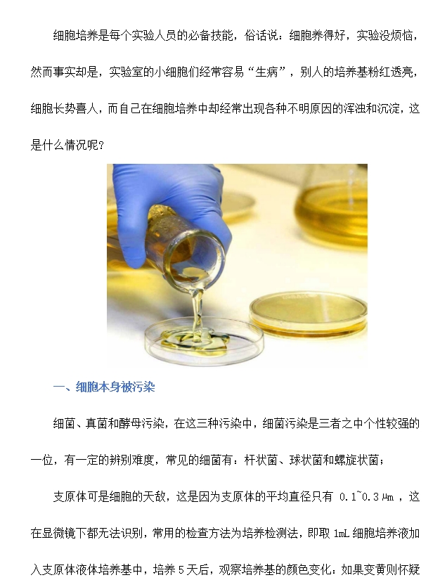 培养基为什么会出现沉淀？