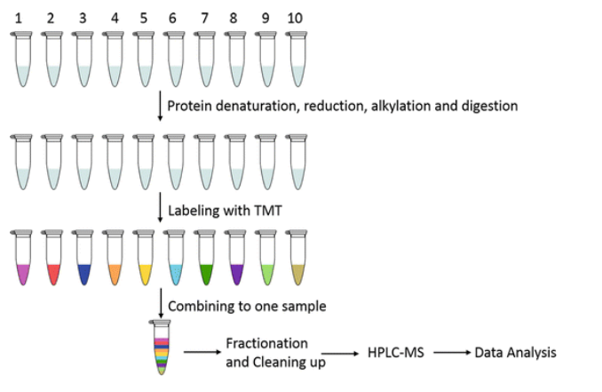 高通量外泌体蛋白组学
