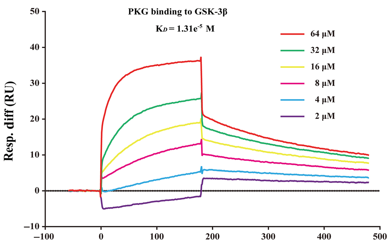 解锁阿尔茨海默病（AD）靶点密码，开启靶向治疗新篇章