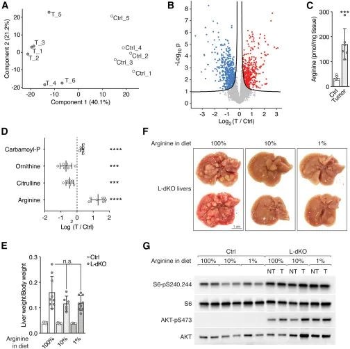 Cell 重磅！发现遏制肝癌进展新途径！