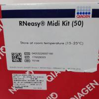 qiagen凯杰一级签约代理商 75144 RNeasy Midi Kit (50)