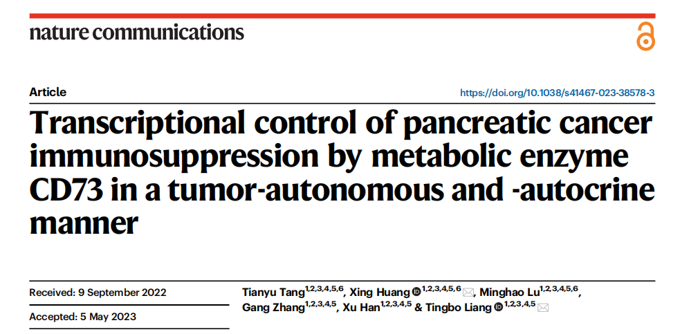Chemiscope系列化学发光成像系统在肿瘤免疫治疗领域的应用