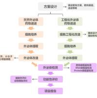 外泌体载药服务