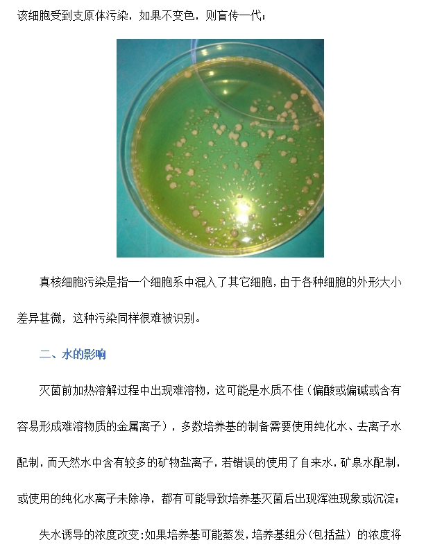 培养基为什么会出现沉淀？