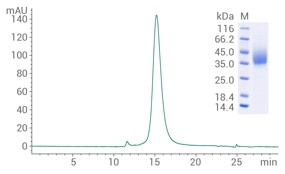解锁阿尔茨海默病（AD）靶点密码，开启靶向治疗新篇章