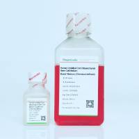 人间充质干细胞培养基（增殖30代）