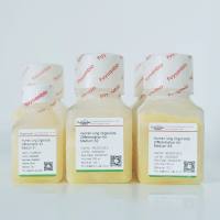 人肺类器官分化试剂盒 培养基 肺分化