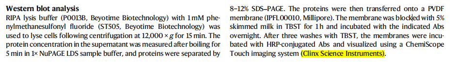 Chemiscope系列化学发光成像系统在肿瘤免疫治疗领域的应用