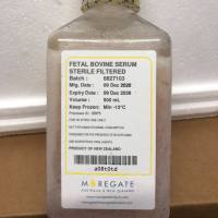 Moregate血清Moregate澳洲胎牛血清Moregate新西兰胎牛