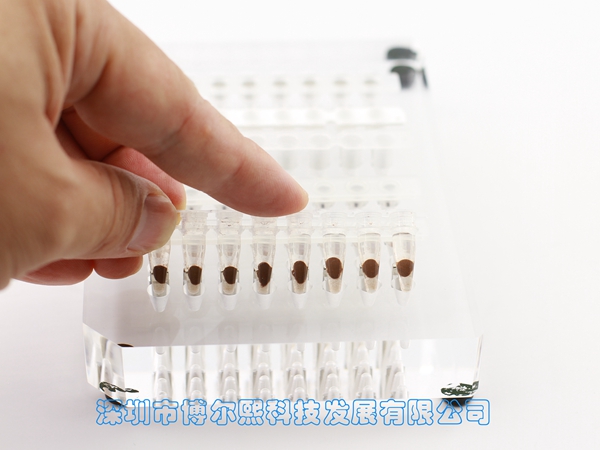 96孔磁力架/磁架/磁分离器(八排管和96PCR板)(MAG