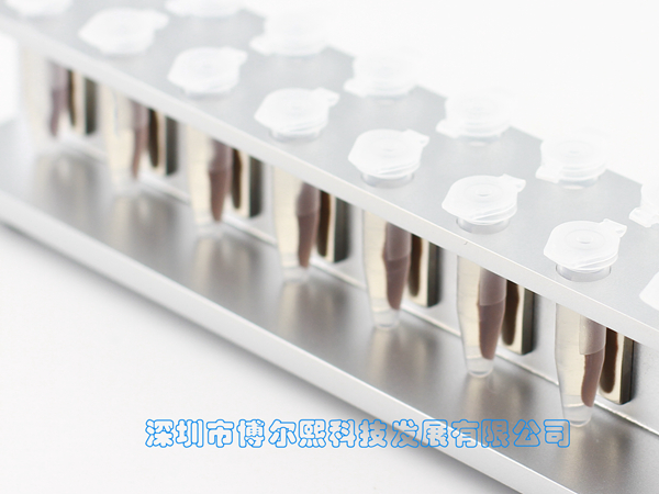 16孔磁力架/磁架/磁分离器（MAG-16-2）