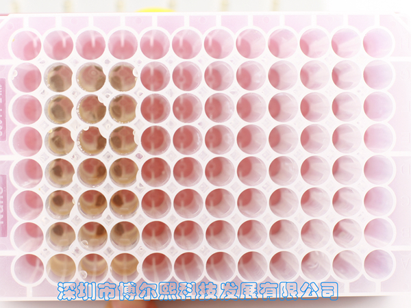 产品细节图片18