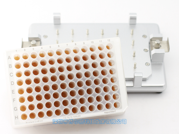 96孔板磁力架/磁架/磁分离器（孔中部吸附）（MAG-96-