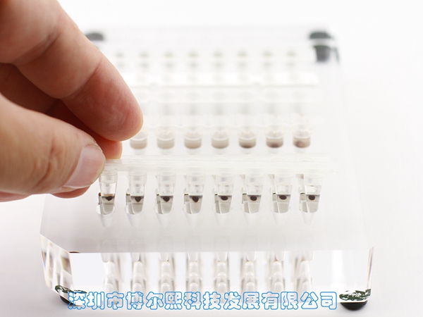 96孔磁力架/磁架/磁分离器(八排管和96PCR板)(MAG