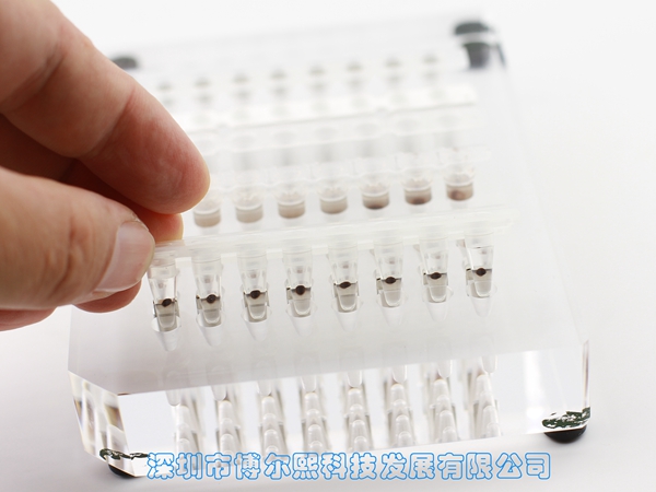 96孔磁力架/磁架/磁分离器(八排管和96PCR板)(MAG