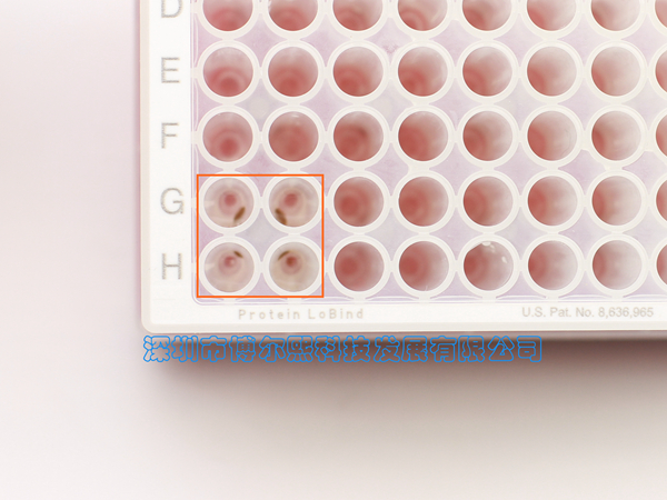 产品细节图片30