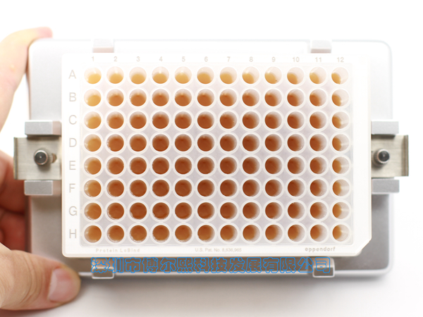 96孔板磁力架/磁架/磁分离器（孔中部吸附）（MAG-96-