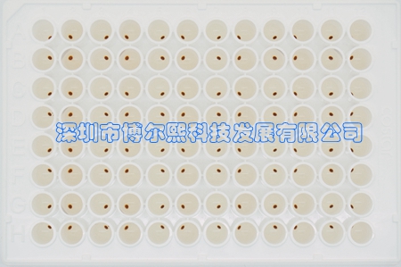 产品细节图片27