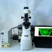 二手尼康/ Nikon ECLIPSE TiS倒置三色荧光显微镜