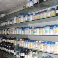 生物素抗小鼠 CD226（DNAM-1）抗体