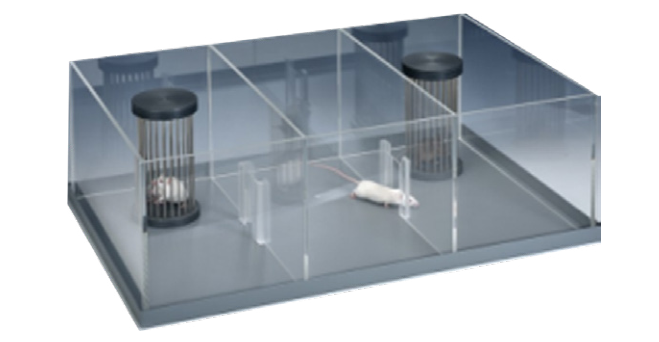 动物三箱社交行为分析系统
