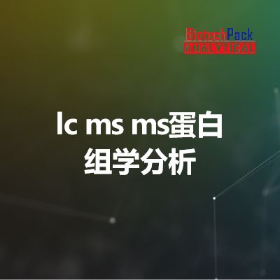 lc ms ms蛋白组学分析
