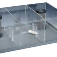 动物三箱社交行为分析系统