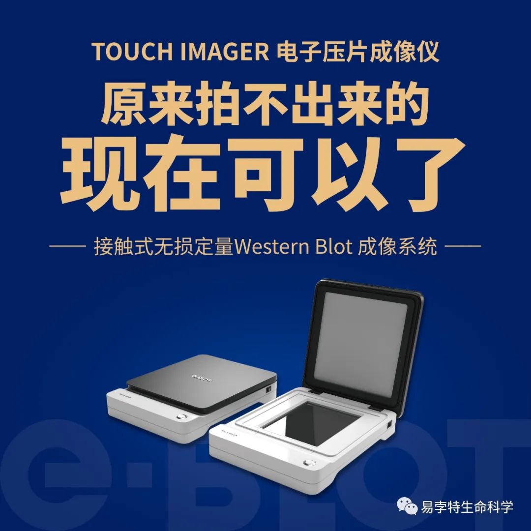 生物化学新时代 | 2023中国生物化学与分子生物学大会将于10月19日在合肥召开